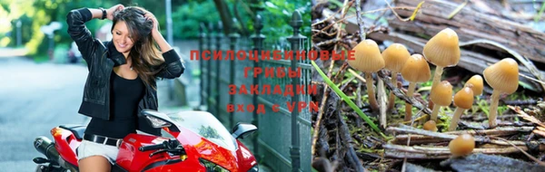 амф Каменка