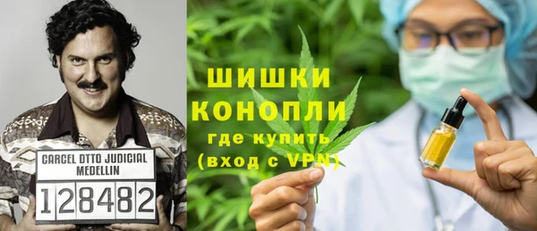 амф Каменка